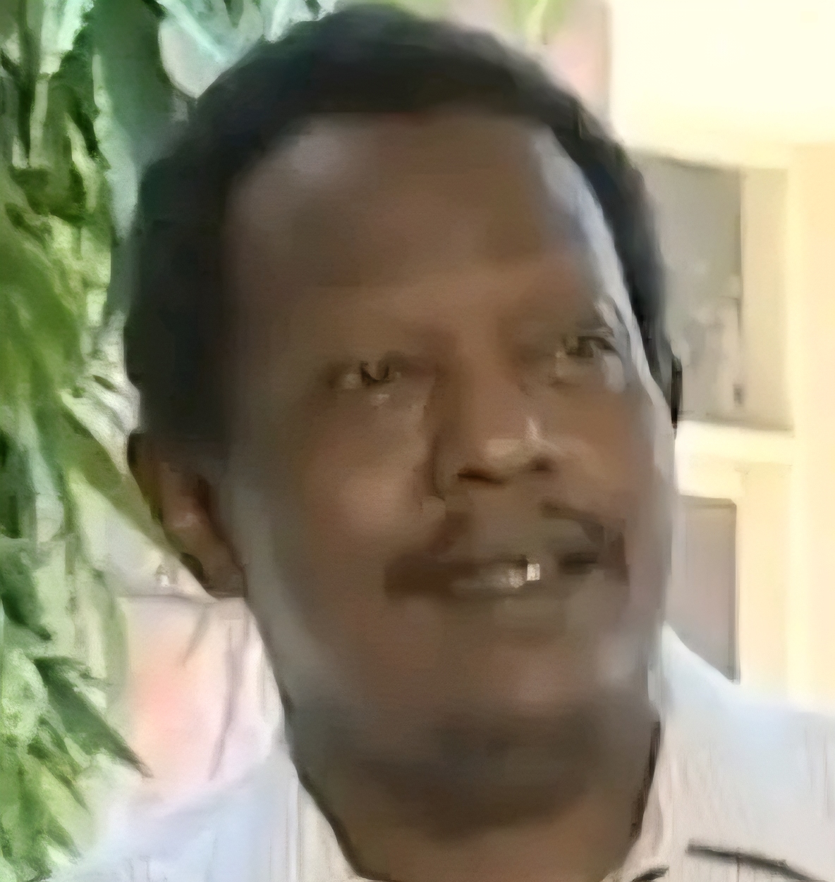 صلاح الدين الفاضل